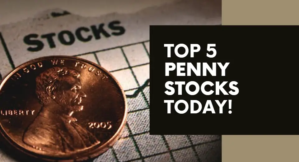 top 5 penny stocks including company names, prices, percentage changes, LTP, and market cap to help investors make informed decisions.