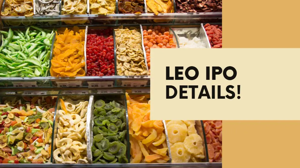 An infographic displaying key details about the Leo Dry Fruits & Spices IPO, including the date, price range, and grey market premium (GMP).