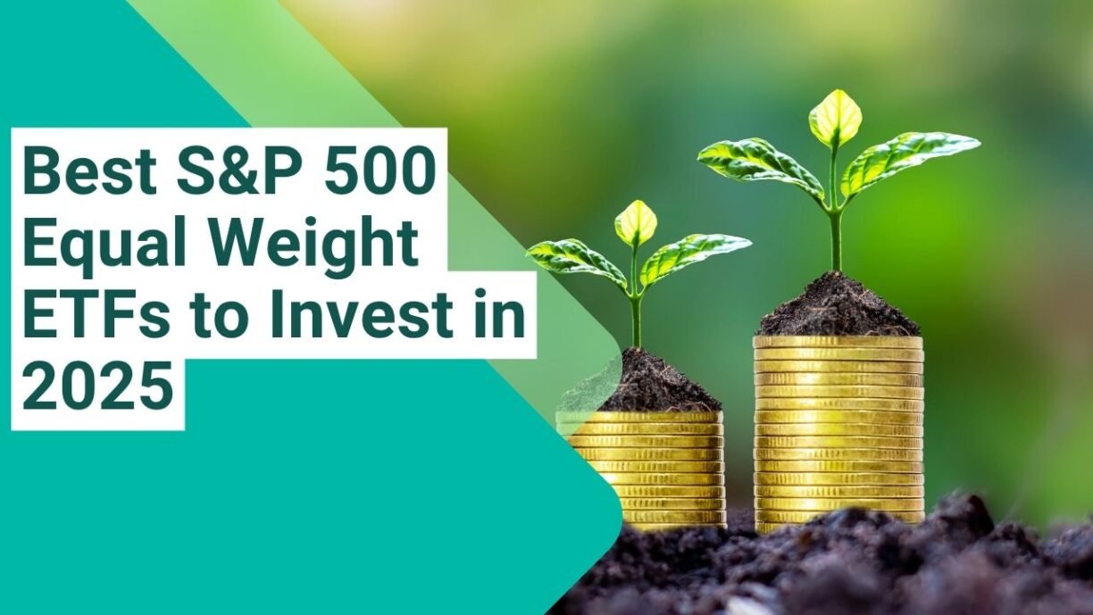 Explore S&P 500 Equal Weight ETFs comparing performance, expense ratios, and fund sizes to find the most cost-effective investment options in 2025 now