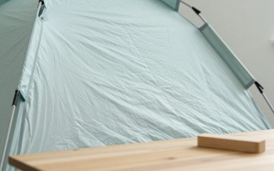 Best Camping Tents in 2026: Backpacking to Family